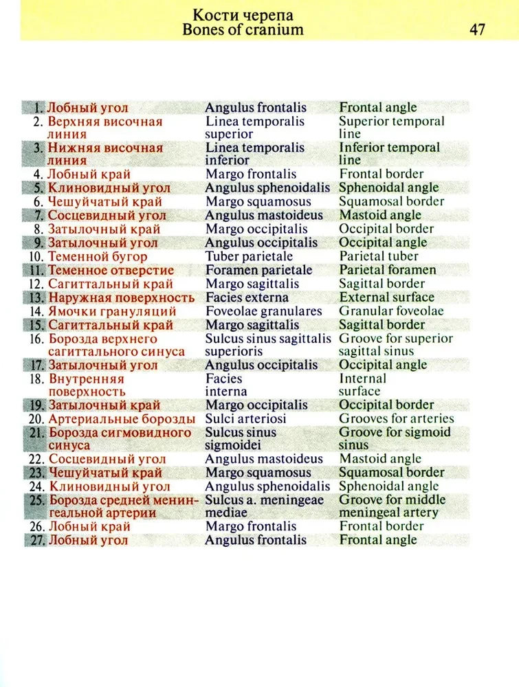 Pocket Atlas of Anatomy