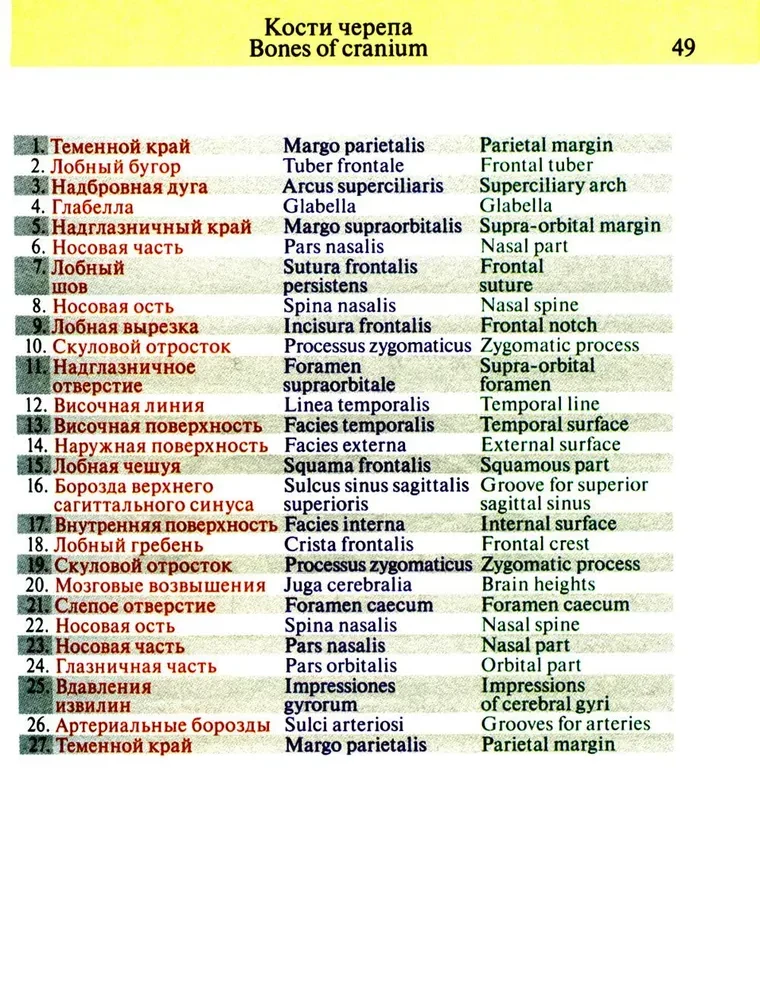 Pocket Atlas of Anatomy