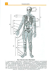 Atlas anatomii dla szkół medycznych