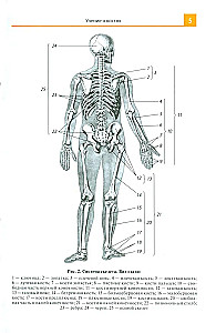 Atlas of Anatomy for Medical Colleges