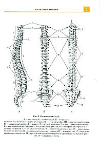 Atlas of Anatomy for Medical Colleges