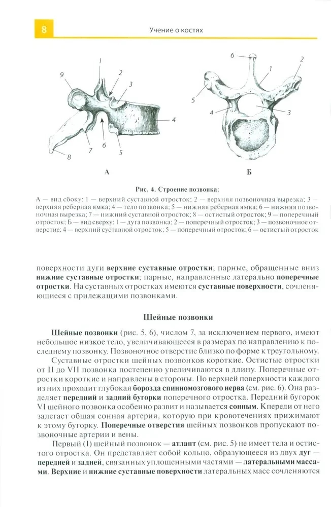 Atlas anatomii dla szkół medycznych