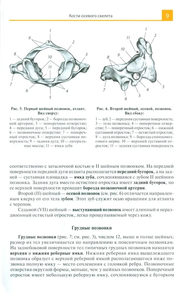 Atlas of Anatomy for Medical Colleges