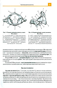 Atlas of Anatomy for Medical Colleges