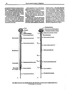 Atlas of Human Anatomy in 3 Volumes. Volume 3