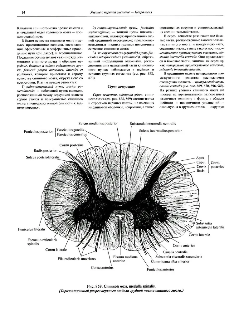 Atlas of Human Anatomy in 3 Volumes. Volume 3