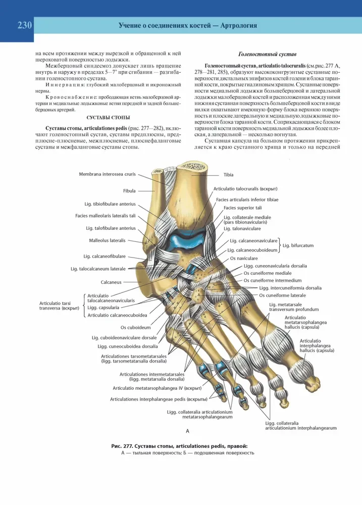 Atlas of Human Anatomy. Volume 1 of 3
