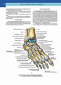 Atlas of Human Anatomy. Volume 1 of 3