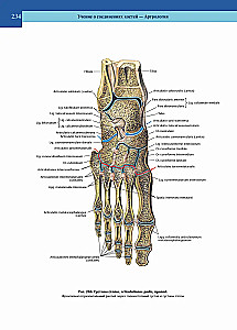 Atlas of Human Anatomy. Volume 1 of 3