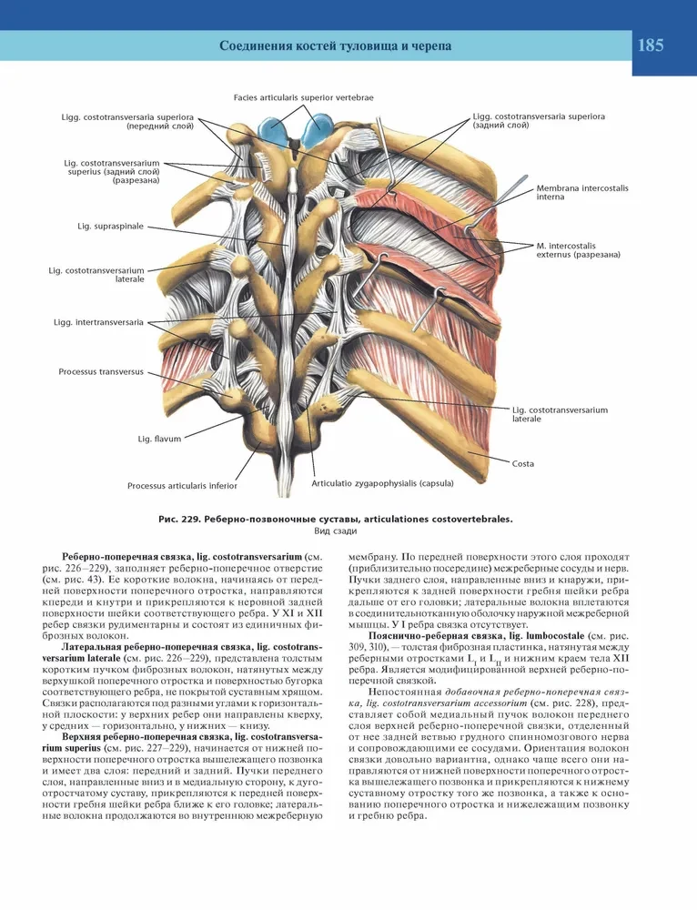 Atlas of Human Anatomy. Volume 1 of 3
