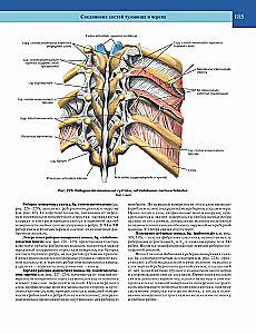 Atlas of Human Anatomy. Volume 1 of 3