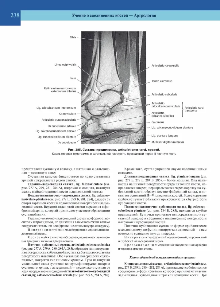Atlas of Human Anatomy. Volume 1 of 3