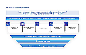 Only Adaptors Survive. A Guide to Reprogramming Business Models