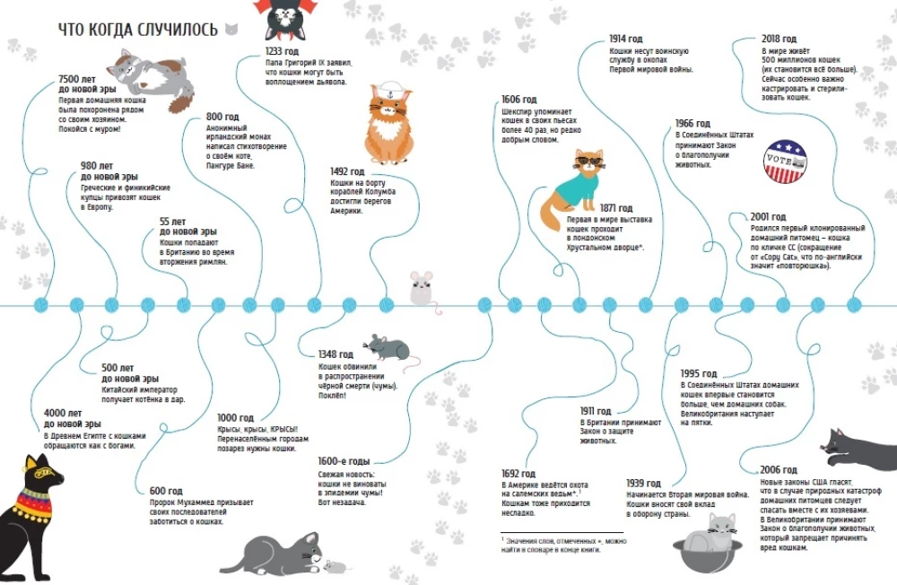 Outstanding Cats. Amazing Stories About Brave Cats