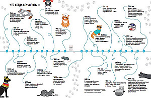 Outstanding Cats. Amazing Stories About Brave Cats