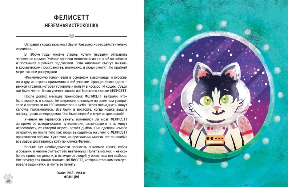 Outstanding Cats. Amazing Stories About Brave Cats