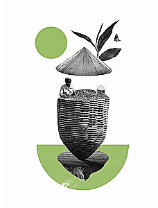 Tea. From Leaf to Cup. Everything You Need to Know About Varieties, Brewing, and Tasting for Those for Whom Tea Is Not Just a Drink