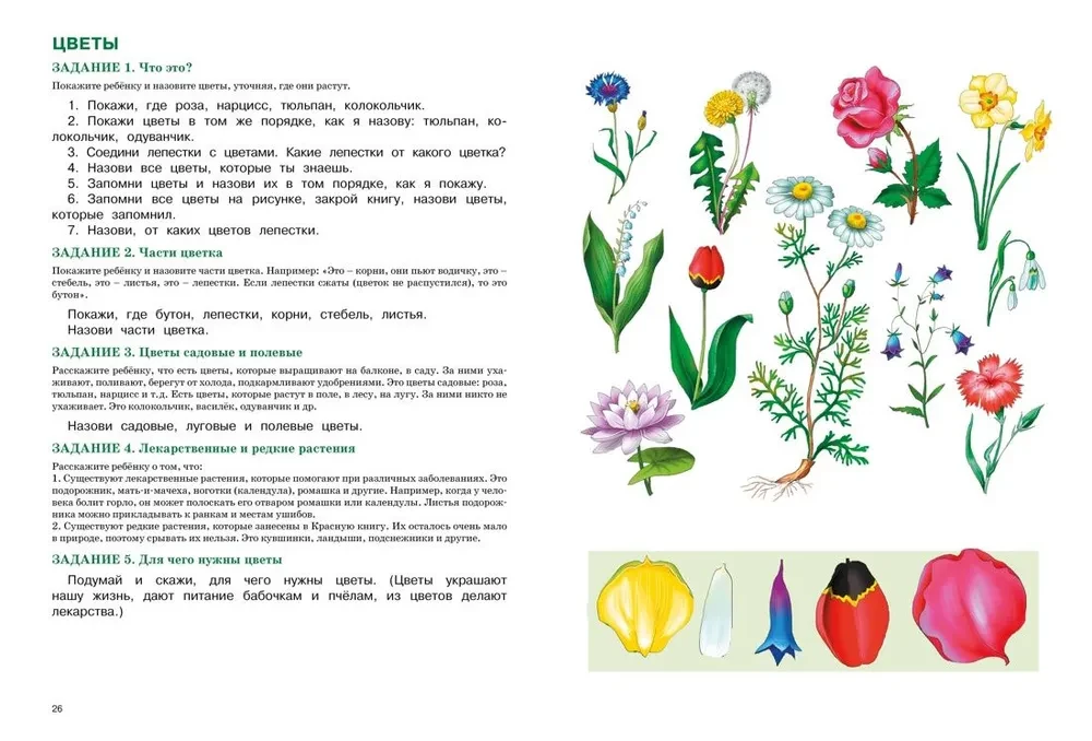 Speech Development. Lessons with a Speech Therapist