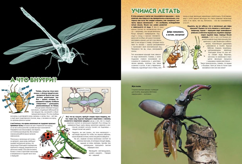 Insects in Comics. Volume 2