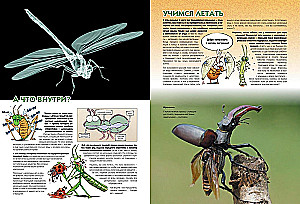 Insects in Comics. Volume 2