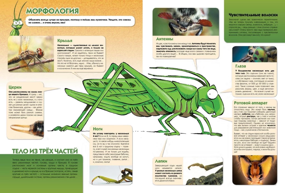Insects in Comics. Volume 2
