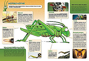 Insects in Comics. Volume 2