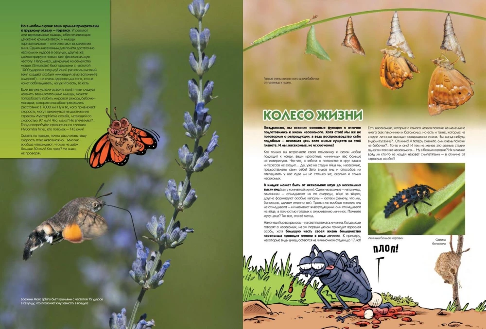 Insects in Comics. Volume 2