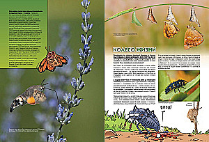 Insects in Comics. Volume 2