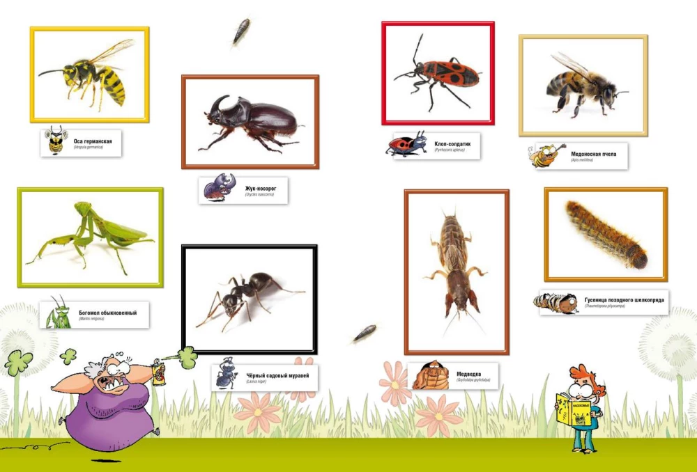 Insects in Comics. Volume 1