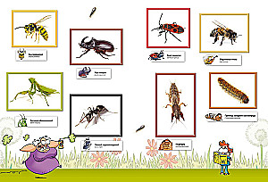 Insects in Comics. Volume 1