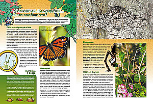 Insekten in Comics. Band 1