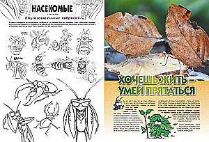 Insekten in Comics. Band 1