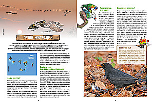 Birds in Comics. Volume 3