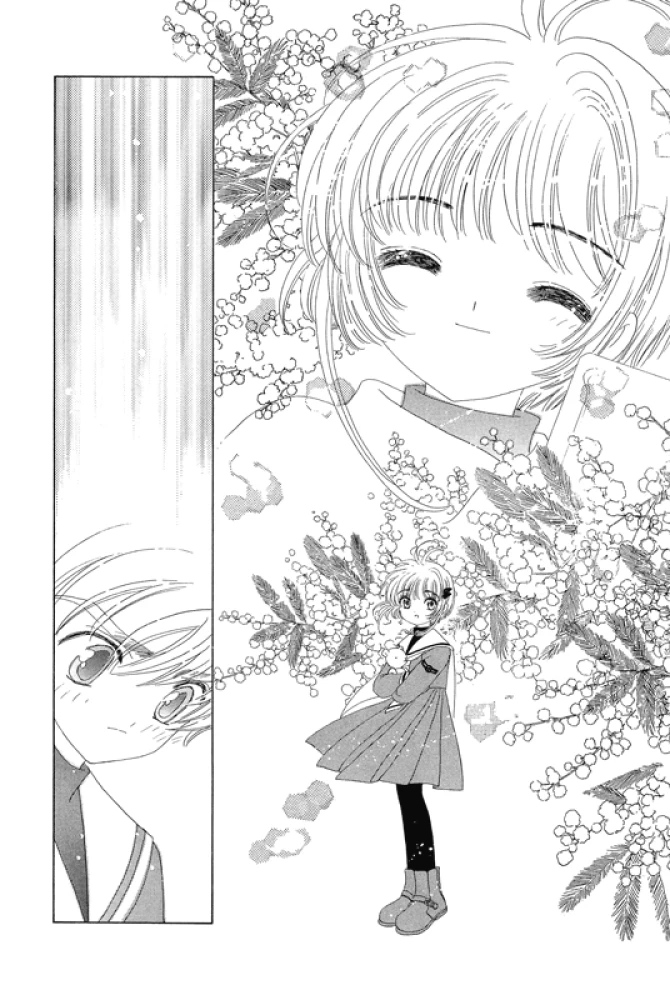 Sakura, Cardcaptor. Volume 6