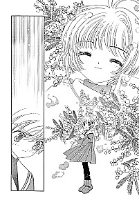 Sakura, Cardcaptor. Volume 6