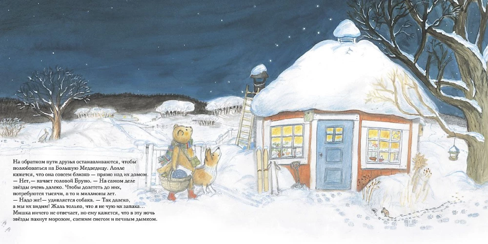Winter of Bruno the Bear