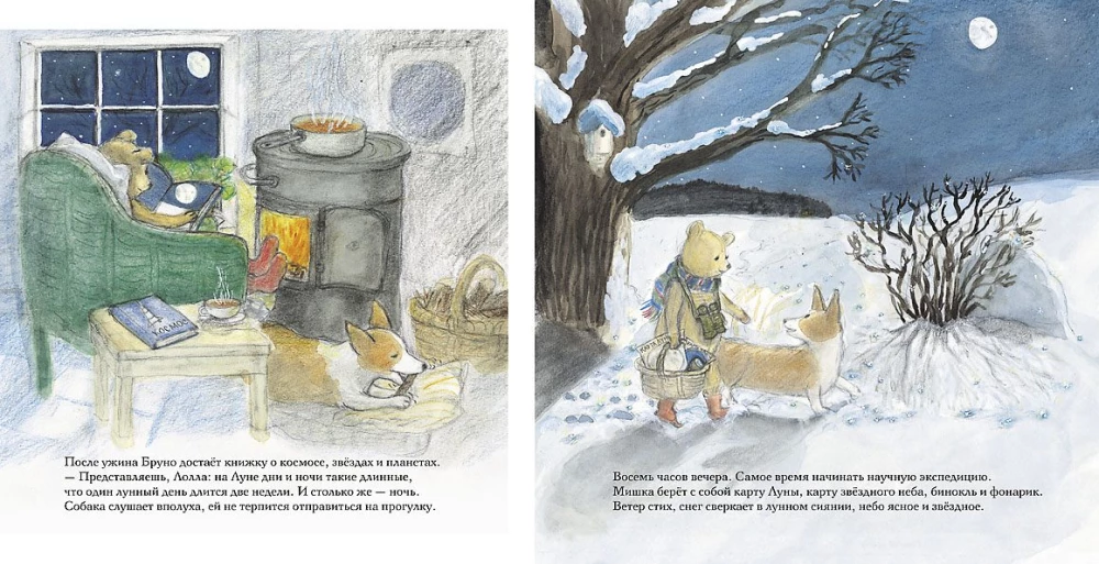 Winter of Bruno the Bear