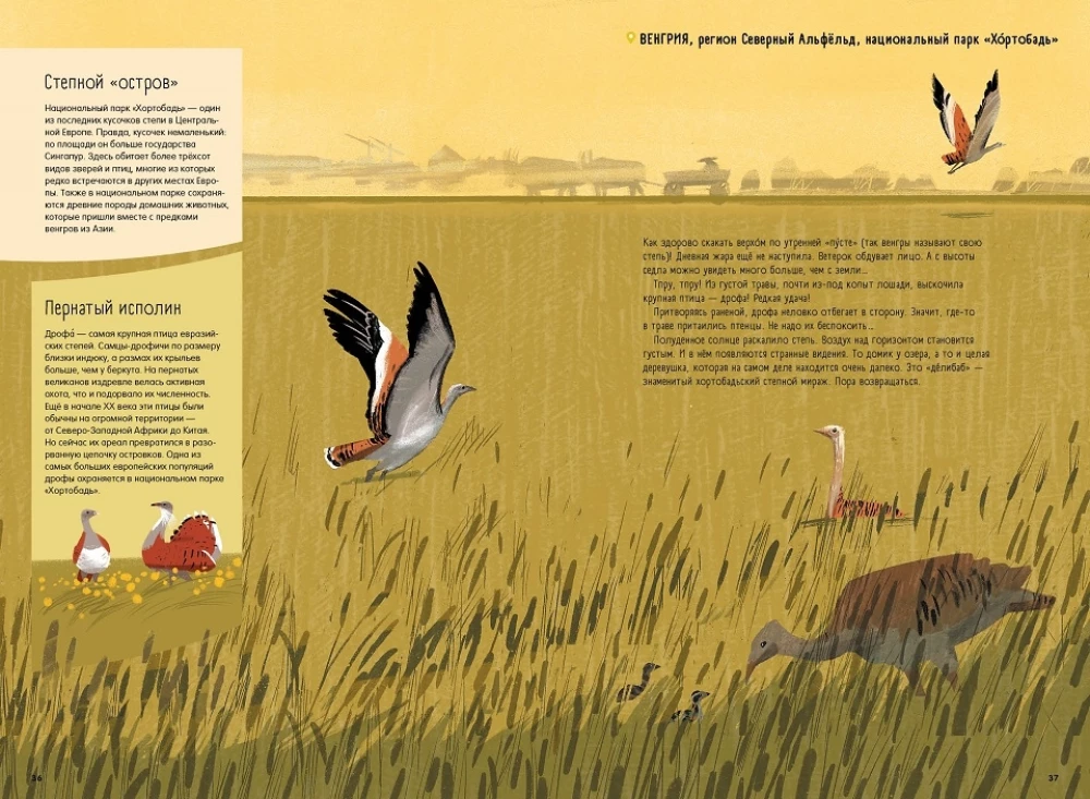 Steppes, Prairies, Pampas. One Year of Life in a Disappearing Biome