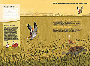 Steppes, Prairies, Pampas. One Year of Life in a Disappearing Biome