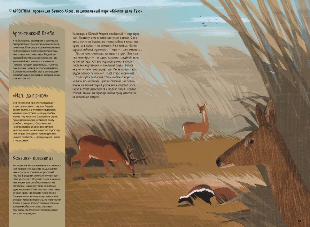 Steppes, Prairies, Pampas. One Year of Life in a Disappearing Biome