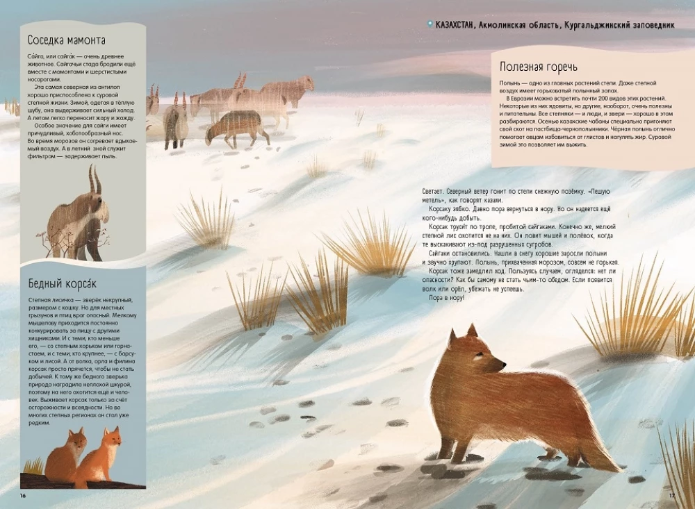 Steppes, Prairies, Pampas. One Year of Life in a Disappearing Biome