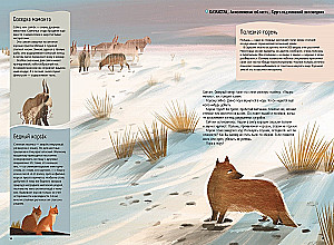 Steppes, Prairies, Pampas. One Year of Life in a Disappearing Biome