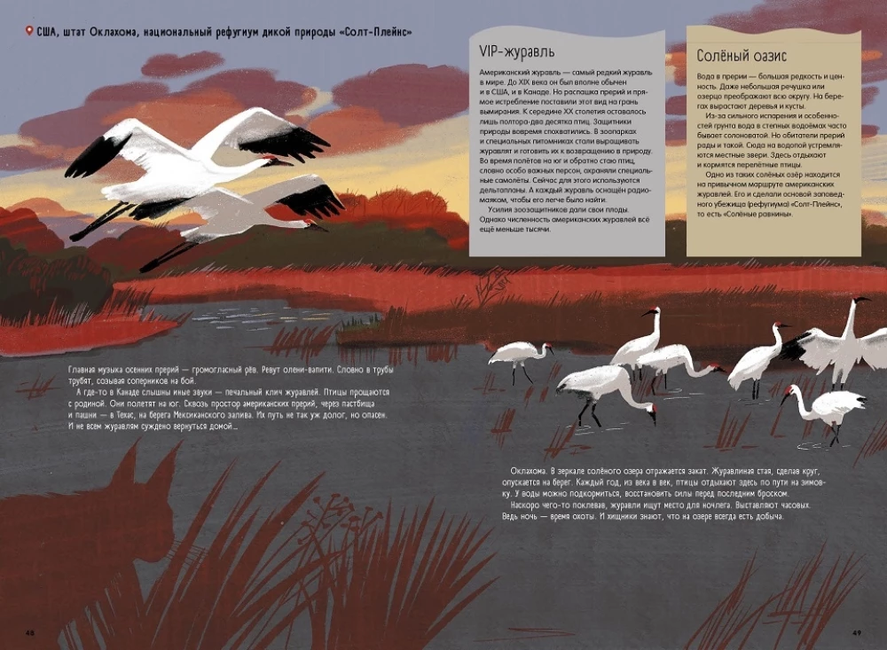 Steppes, Prairies, Pampas. One Year of Life in a Disappearing Biome
