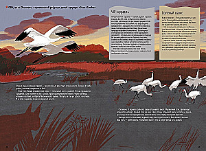 Steppes, Prairies, Pampas. One Year of Life in a Disappearing Biome