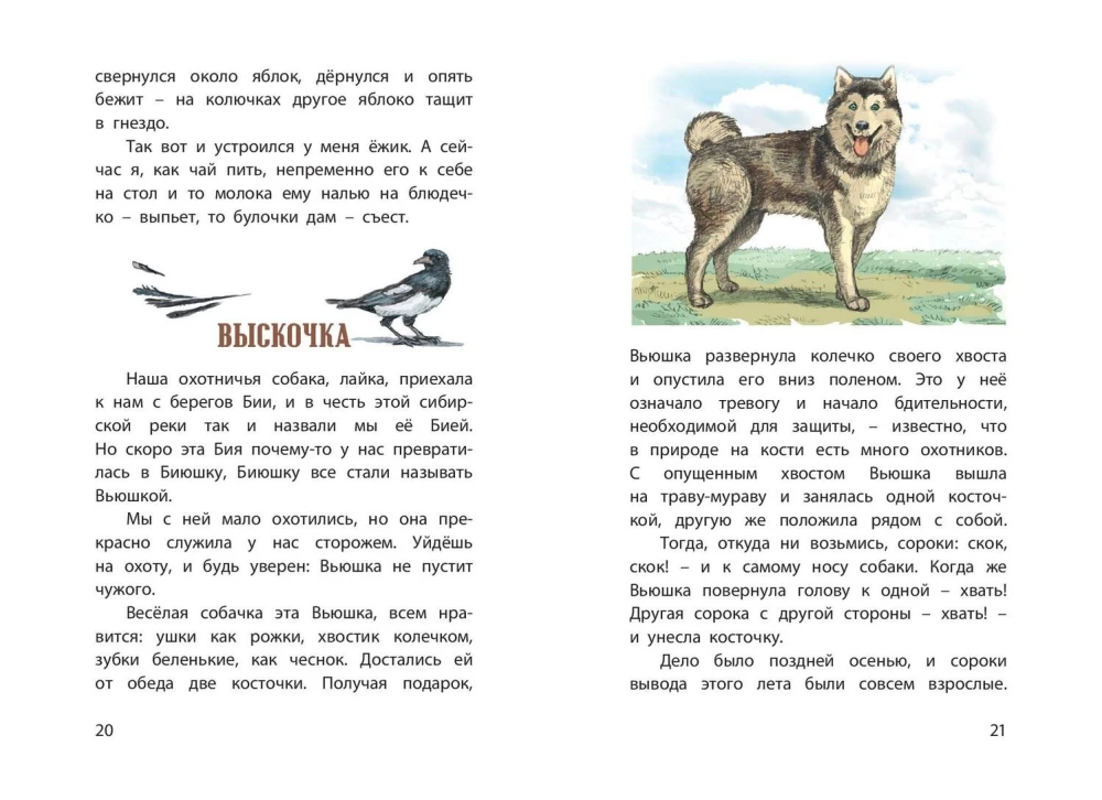My Homeland. Stories