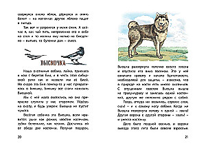 My Homeland. Stories
