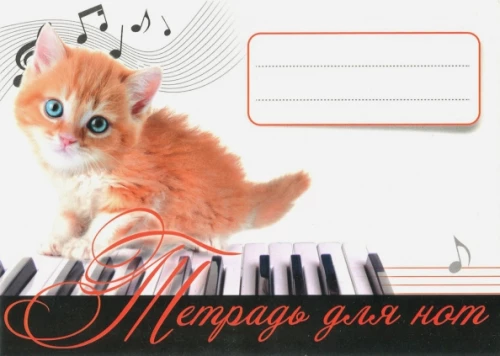 Notebook for Notes. Red Kitten