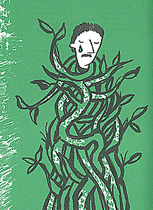 Krokodill voodis
