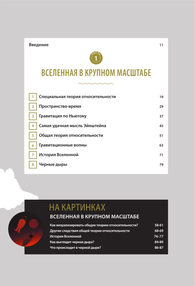 Великие законы Вселенной: от гравитации к квантовым частицам. Визуальный гид