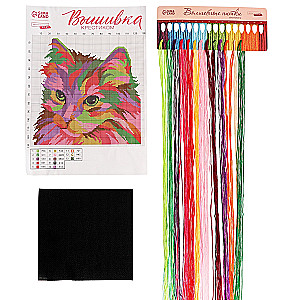 Cross Stitch on Black Canvas - Colorful Cat